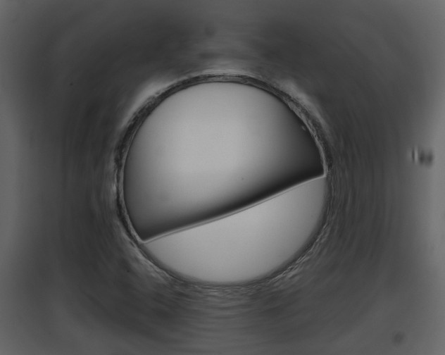 X0000097841408200803140824