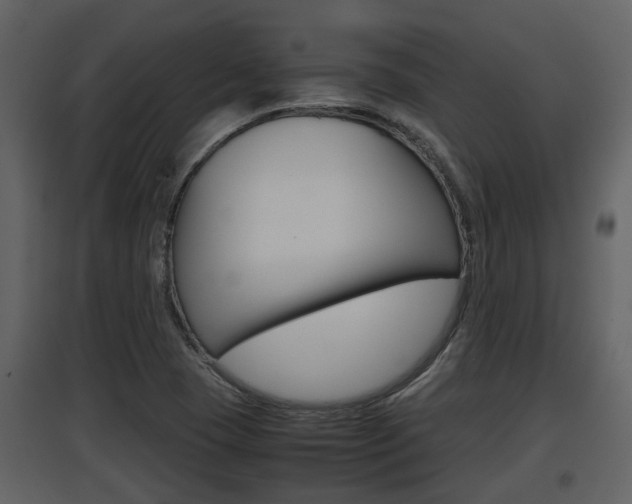 X0000097841409200803140824