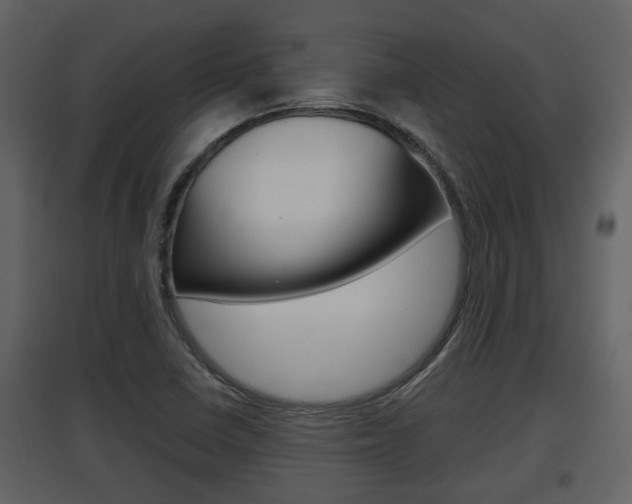 X0000097841410200803140824