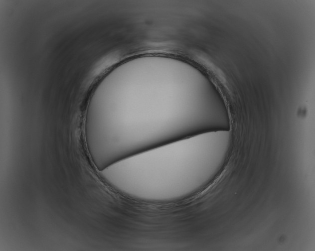 X0000097841411200803140824