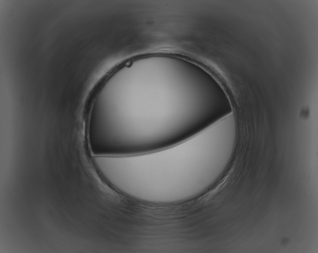 X0000097841414200803140824