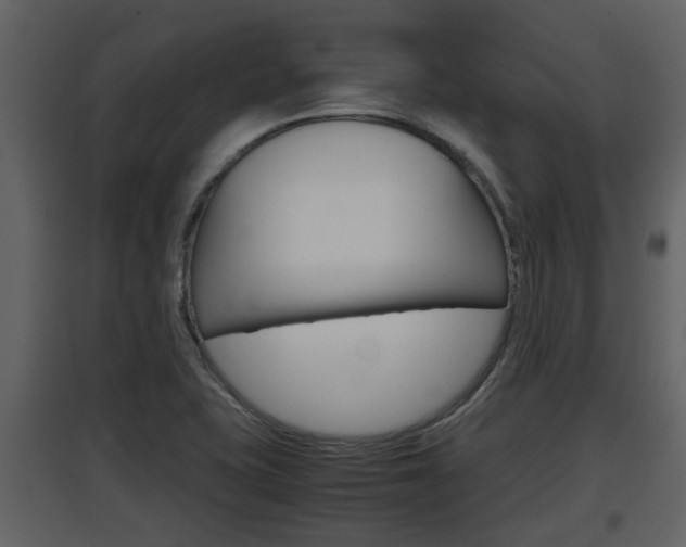 X0000097841415200803140824