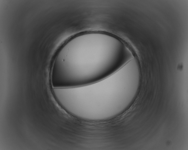 X0000097841416200803140824