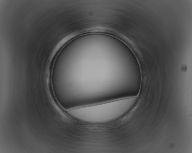 X0000097841418200803140824