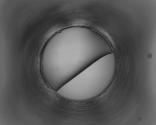 X0000097841419200803140824