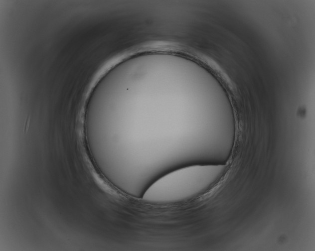 X0000097841421200803140824