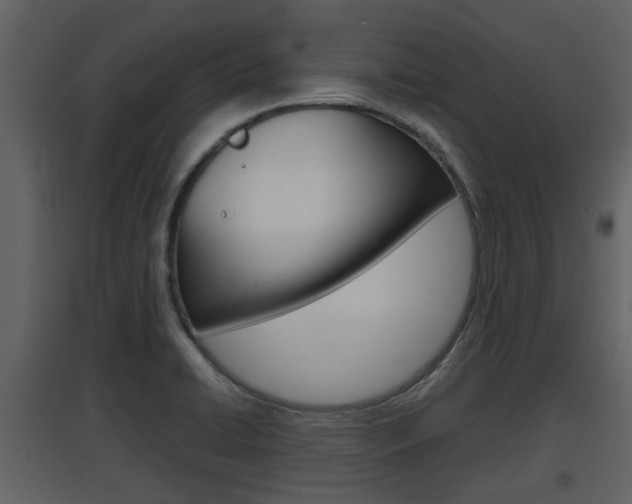 X0000097841422200803140825