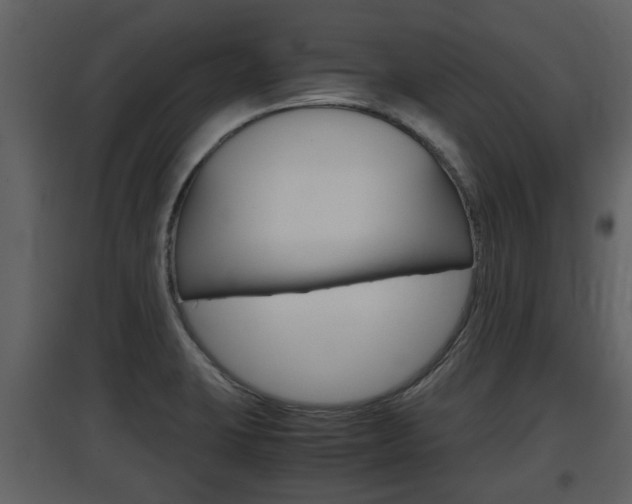 X0000097841423200803140825
