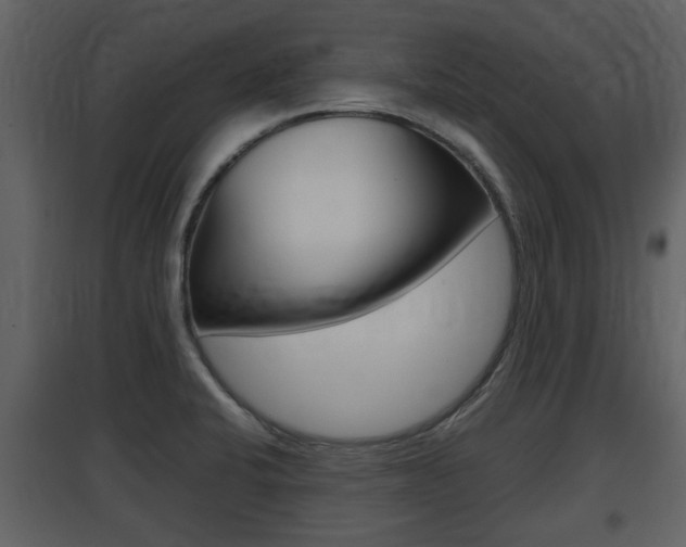 X0000097841424200803140825