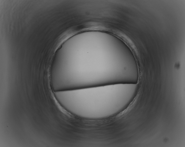 X0000097841425200803140825