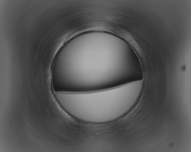 X0000097841428200803140825