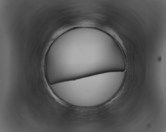 X0000097841429200803140825