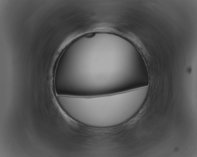 X0000097841430200803140825