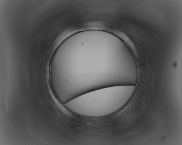 X0000097841431200803140825