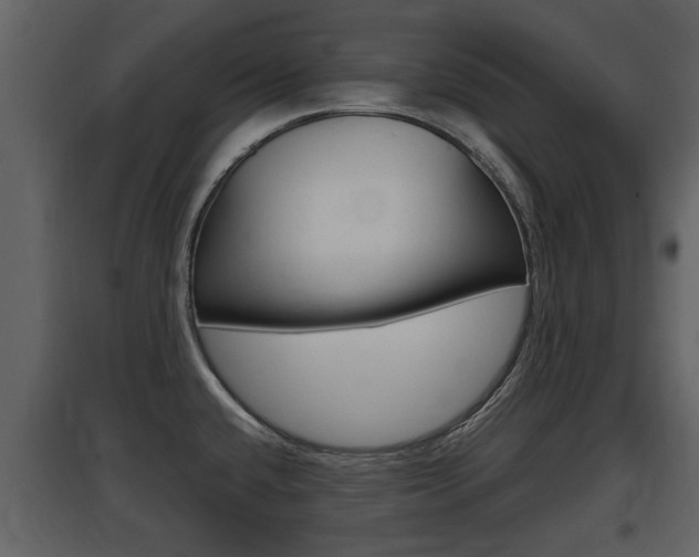 X0000097841432200803140825