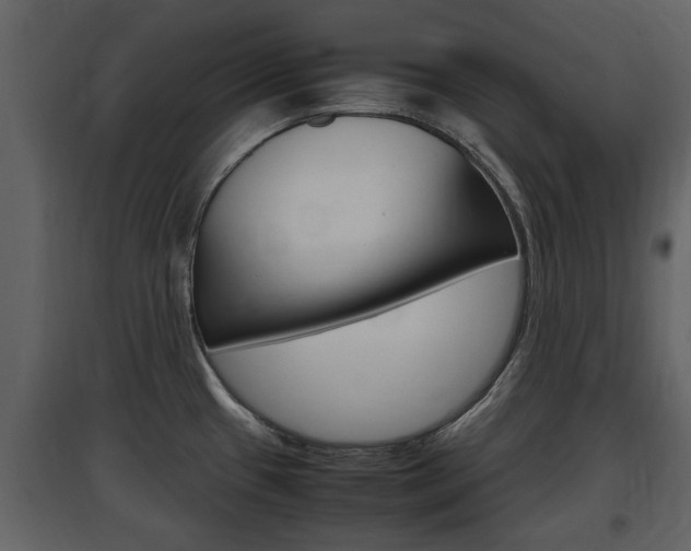 X0000097841433200803140825