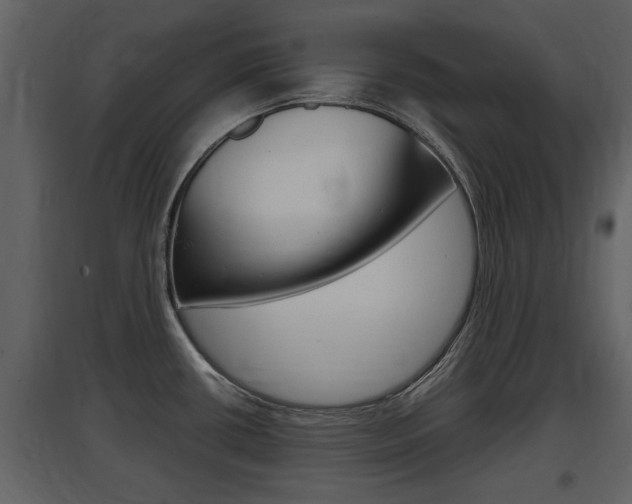 X0000097841434200803140825