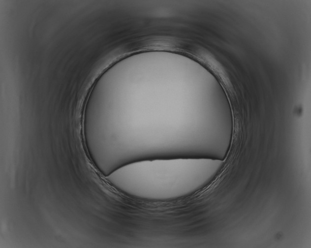 X0000097841435200803140825