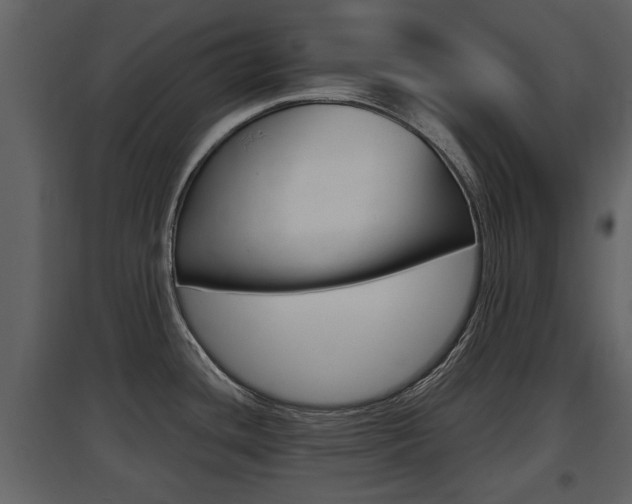X0000097841436200803140825