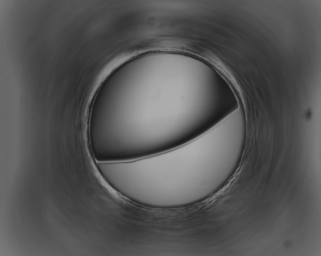 X0000097841437200803140825
