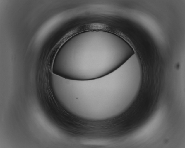 X0000097841438200803140825