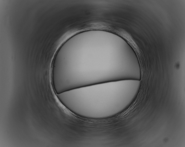 X0000097841439200803140825