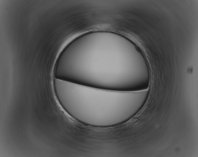 X0000097841440200803140825