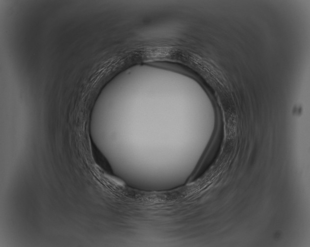 X0000097841441200803140824