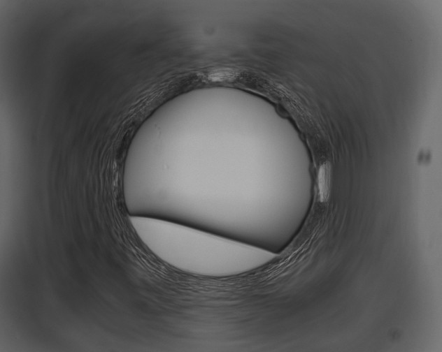 X0000097841443200803140824
