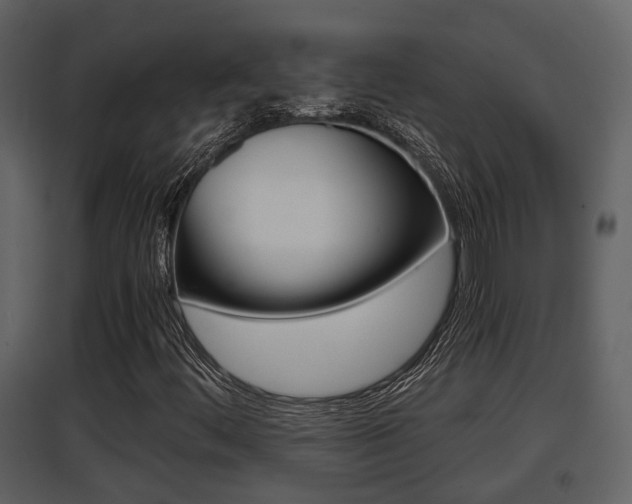 X0000097841444200803140824