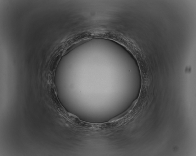 X0000097841445200803140824
