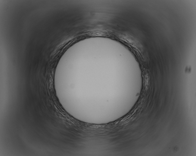 X0000097841446200803140824