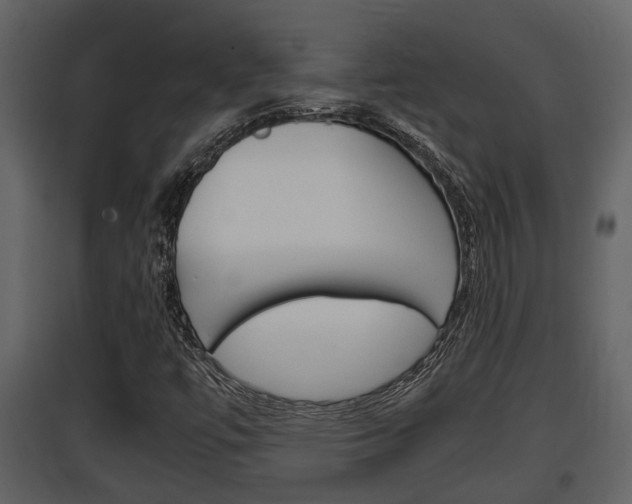 X0000097841447200803140824