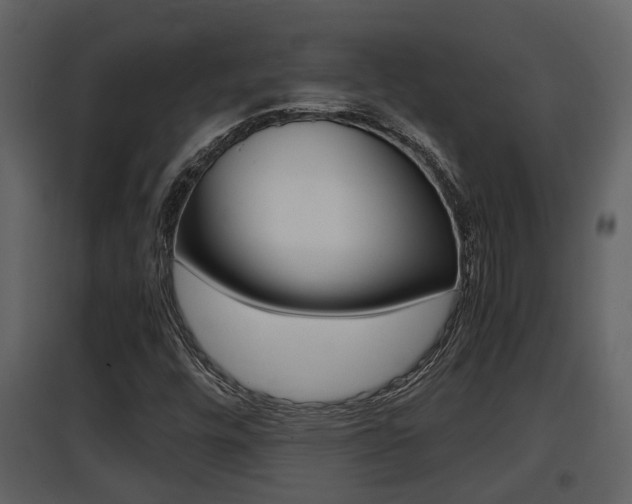 X0000097841448200803140824