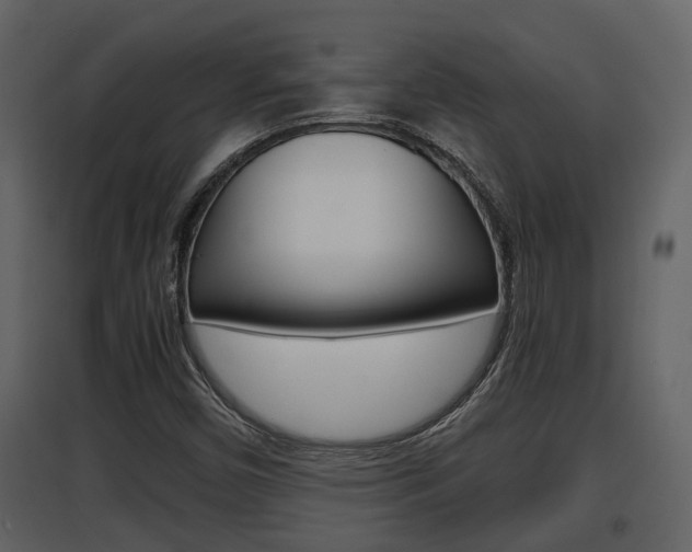 X0000097841450200803140824