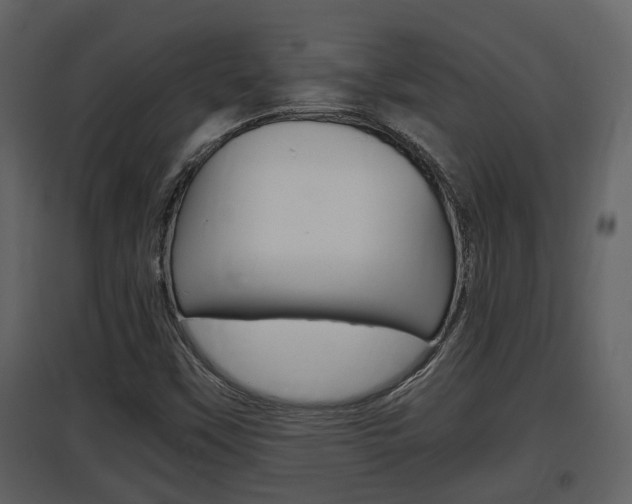 X0000097841451200803140824