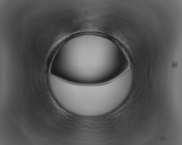 X0000097841452200803140824