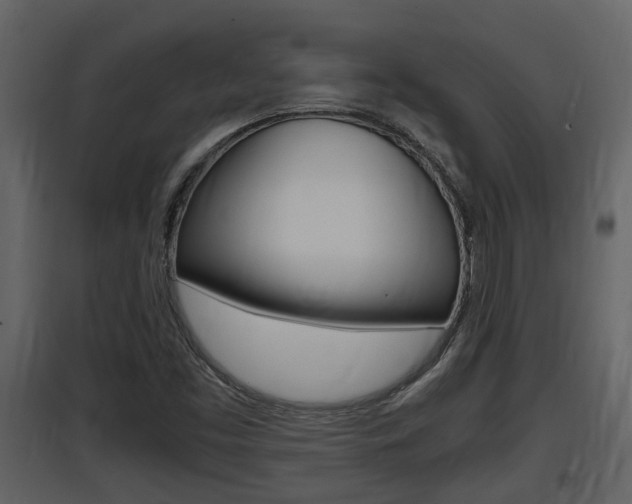 X0000097841453200803140824