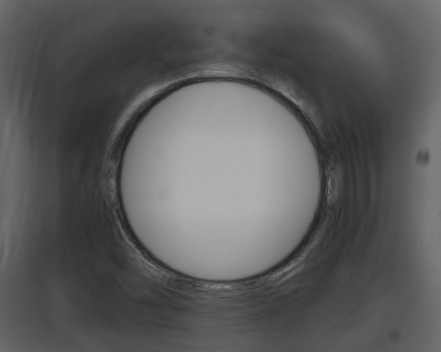 X0000097841454200803140824