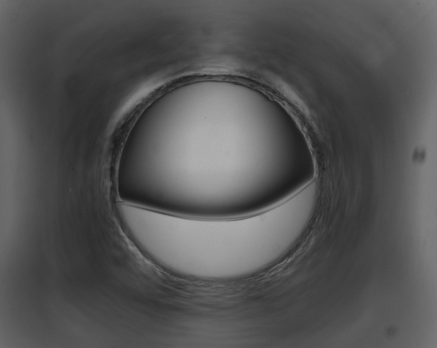X0000097841456200803140824