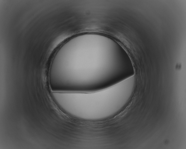 X0000097841458200803140824