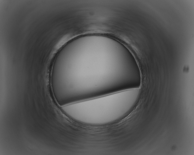 X0000097841459200803140824