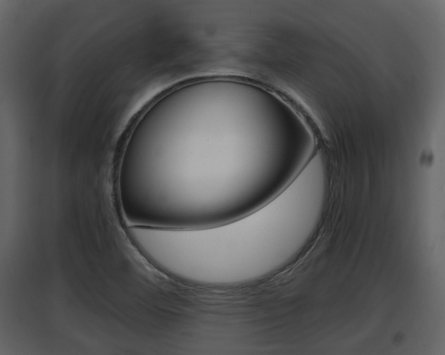 X0000097841460200803140824