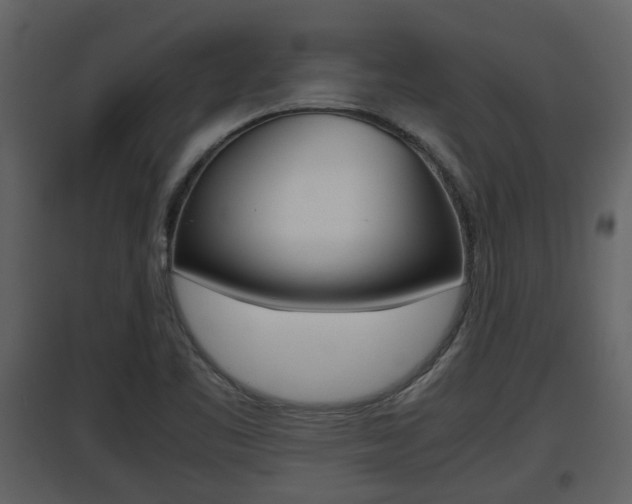 X0000097841461200803140824