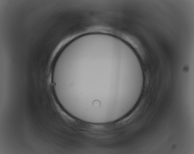 X0000097841462200803140824