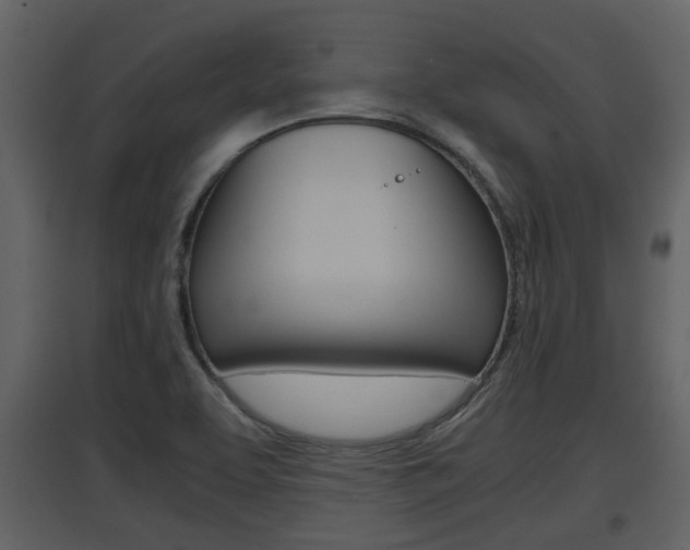 X0000097841463200803140824