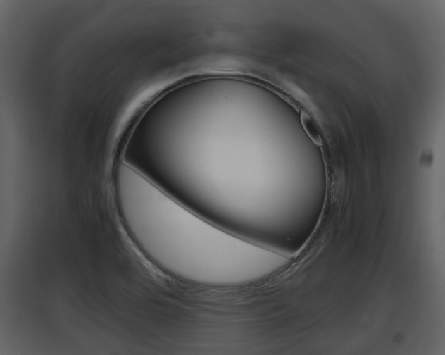 X0000097841464200803140824