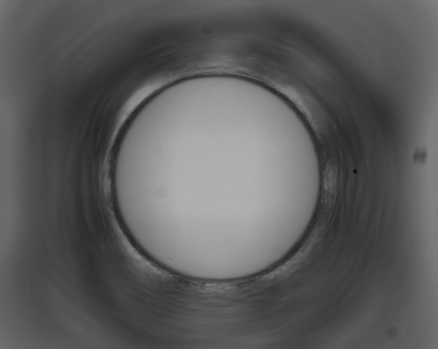X0000097841466200803140824
