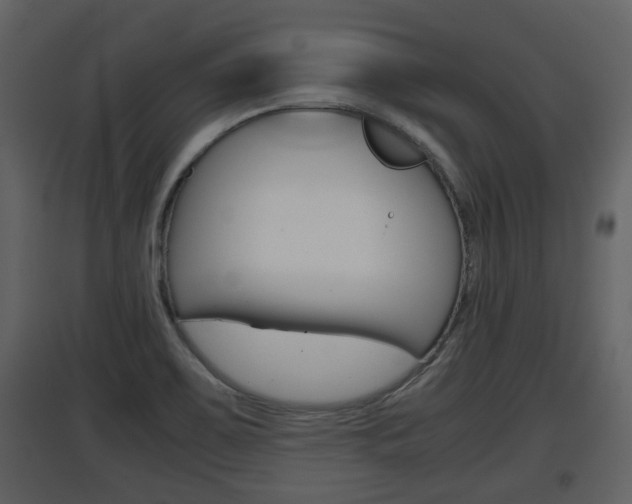 X0000097841467200803140824