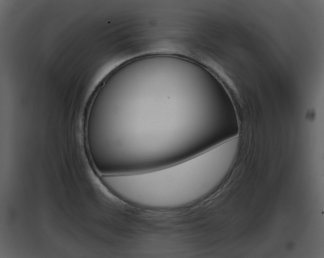 X0000097841468200803140824